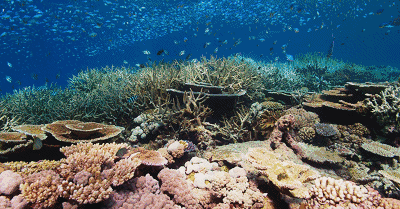 图源公众号@妙生活趣旅行