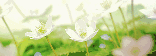 500_180gif 动态图 动图