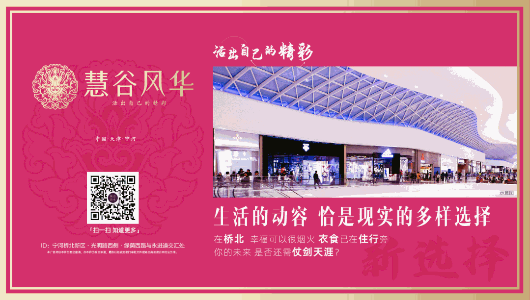 全国两会 宁河声音丨优化营商环境 助力宁河发展