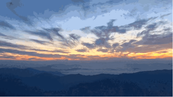 贾平凹：爱情老了，剩下的只是日子