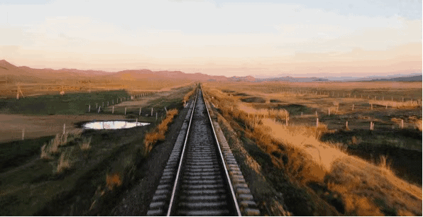 贾平凹：爱情老了，剩下的只是日子