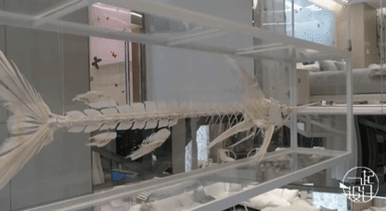 帆船酒店里面_帆船酒店一晚上多少钱_帆船酒店住一晚要多少人民币