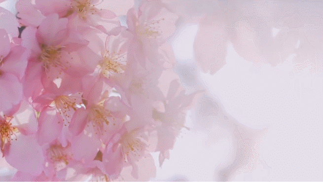 春分 | 有惊喜~
