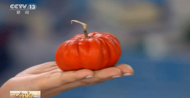 大寿光，霸屏！视频有亮点……