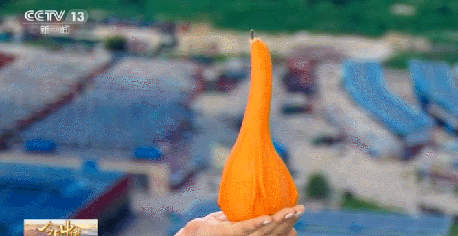 大寿光，霸屏！视频有亮点……