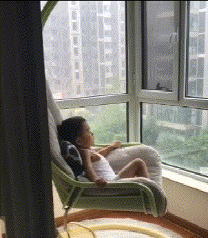 搞笑GIF:这大概就是奶奶养大的狗,平常的伙食肯定非常好!-微信头条网 搞笑GIF:这大概就是奶奶养大的狗,平常的伙食肯定非常好!
