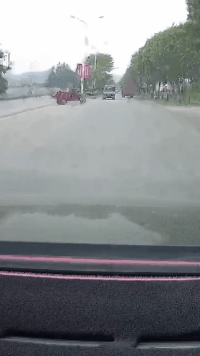 搞笑GIF:狗子:老实点,别想超车!-微信头条网 搞笑GIF:狗子:老实点,别想超车!