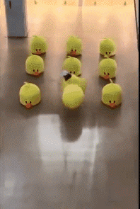 搞笑GIF:这个黄小鸭有点过分了,就差你了!-微信头条网 搞笑GIF:这个黄小鸭有点过分了,就差你了!