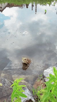 <a href=https://www.weixin-toutiao.com/sjys/ target=_blank class=infotextkey>搞笑</a>GIF:这个黄小鸭有点过分了,就差你了!-微信头条网 搞笑GIF:这个黄小鸭有点过分了,就差你了!