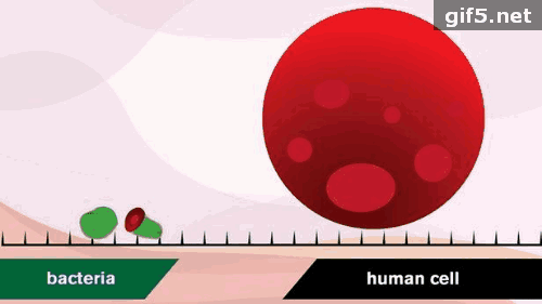 科技早餐馆 · 4月19日 周四@中国碳排放14%被"吸收" 生态工程贡献