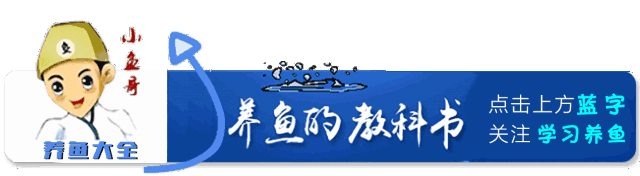 龙鱼鱼缸灯的摆放位置_鱼缸龙鱼灯什么牌子好_鱼缸灯龙鱼