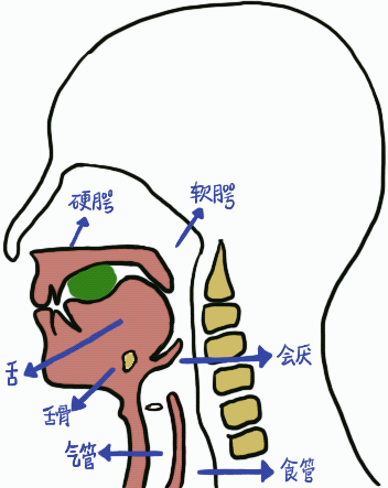 为什么要做吞咽仪器脑损伤后气管切开患者的吞咽功能康复（一）——评估篇_https://www.jmylbn.com_新闻资讯_第1张
