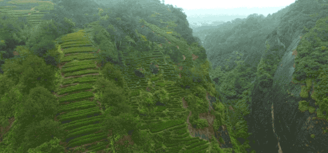 ����������Ҵ���ۣ�12��»�������ѵã���һ����һ�ڣ�