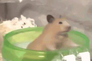 ֱ�л����裬˭������ס��