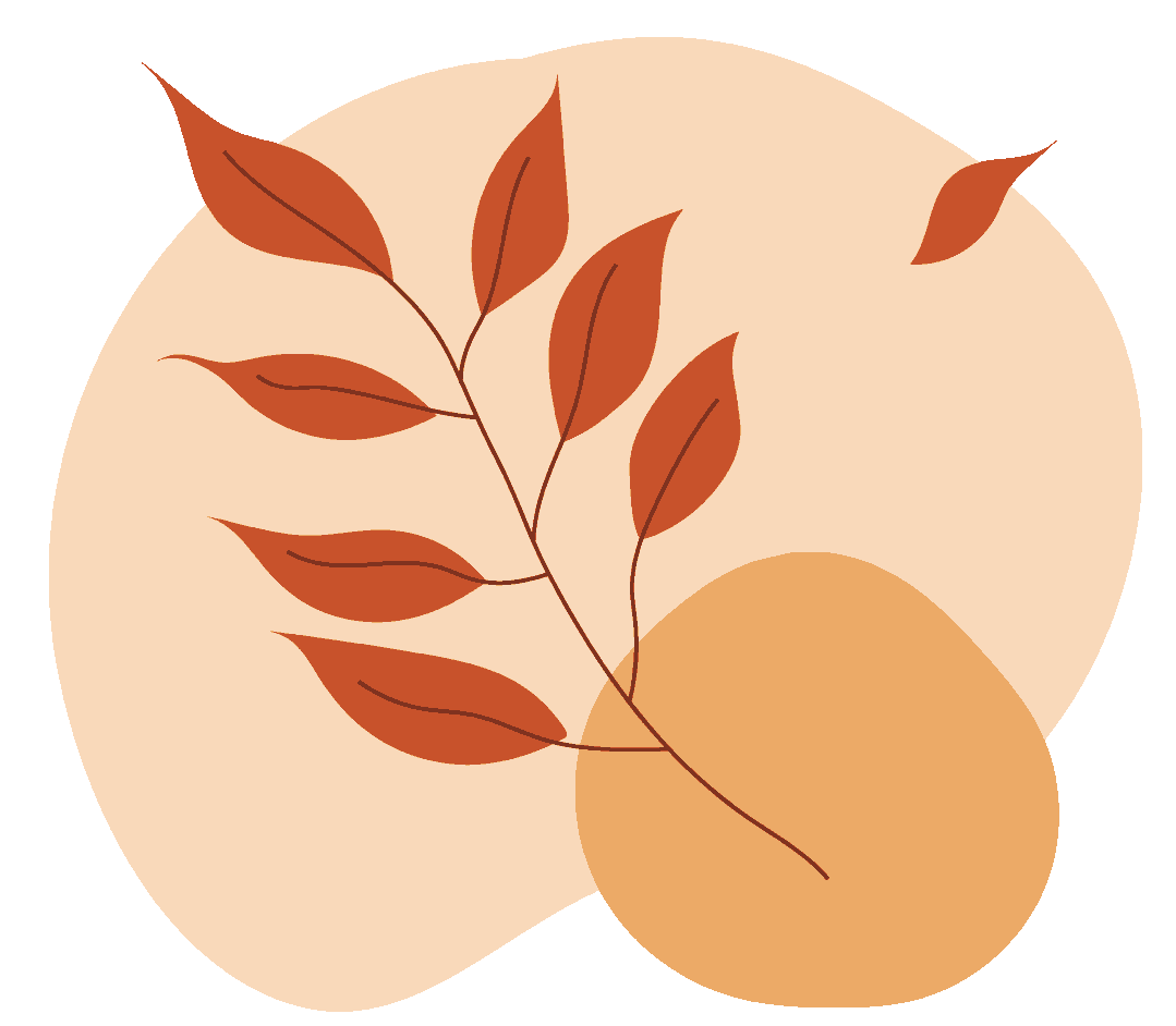 理疗熏蒸室怎么开中医理疗｜中药熏蒸，安全无创、广泛适用！_https://www.jmylbn.com_新闻资讯_第2张