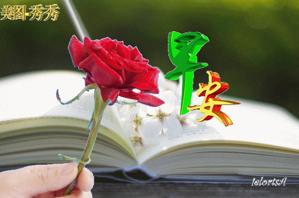 最美早安滚动动态图 冬天祝福动态图片 雪后冬阳复 红梅树上开 早上好语录 微信公众号文章阅读 Wemp