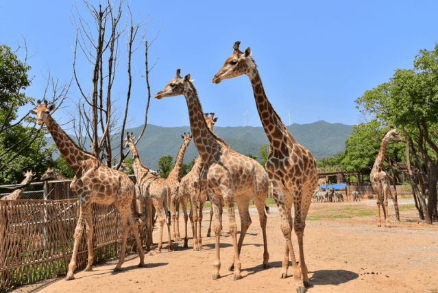 奇珍异兽一次看个够 你没见过的龙之梦动物世界原来在这里 诗画湖州 微信公众号文章阅读 Wemp