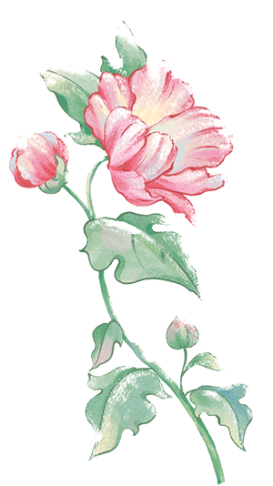 什么是同步心电图【航天心科普】   心率、心律、心跳是一回事吗？_https://www.jmylbn.com_新闻资讯_第4张