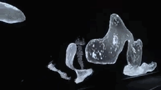 微信图片_20190306102457