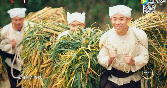 �������͸ó������ʳ��ƽ𡱣���θ���̲�������һ������ȫ�Ҷ���