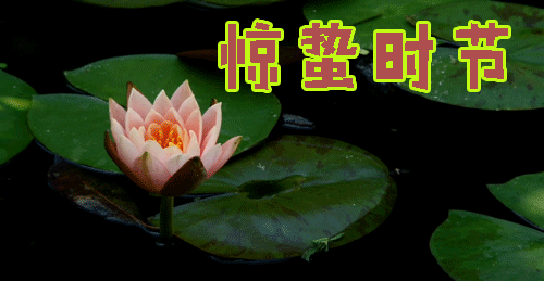 二月初三3月5日文昌帝君诞辰暨惊蛰斩白虎法会增智开慧见吉祥