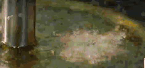 美食四川图片高清_四川美食图片_四川美食图片实拍