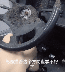 太憋屈啦！在教练眼中我竟然是条二哈！(图1)
