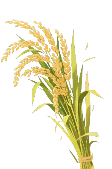 治疗神灯怎么开【岐黄新技】皮肤科——“神灯”：治疗慢性创面_https://www.jmylbn.com_新闻资讯_第2张