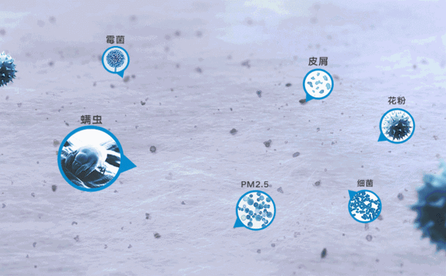 被子里的螨虫咬人吗_怎么判断是螨虫咬的包_螨虫咬人后症状图片