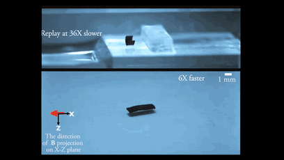 9.gif