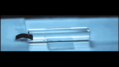 11.gif