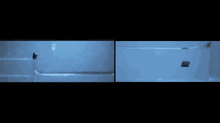 12.gif