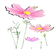 197_175gif 动态图 动图