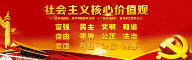 数据图表
