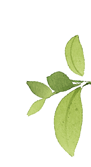 手术人工鼻是什么【健康科普】传递温暖，让手术室不再冰冷_https://www.jmylbn.com_新闻资讯_第11张