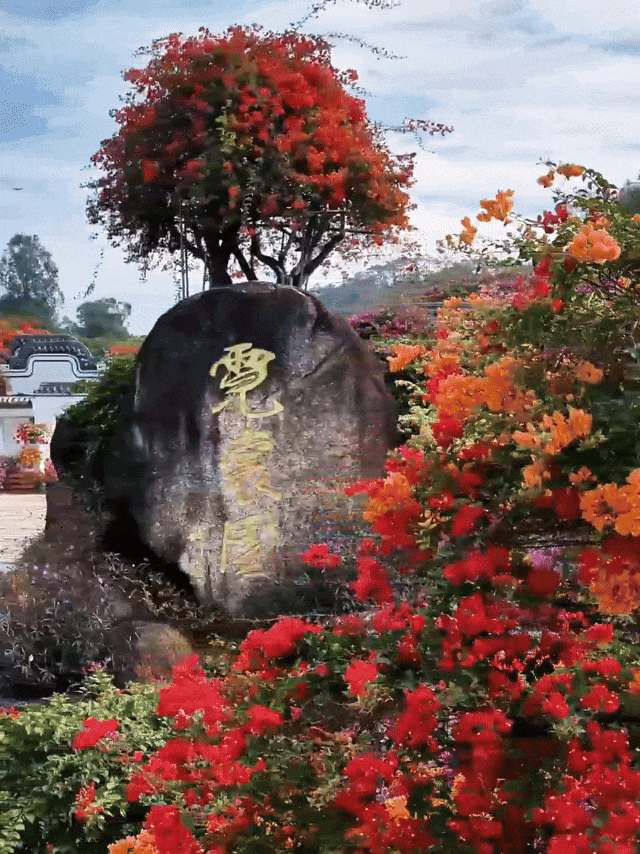 2月16日(4).gif