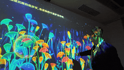 5.gif