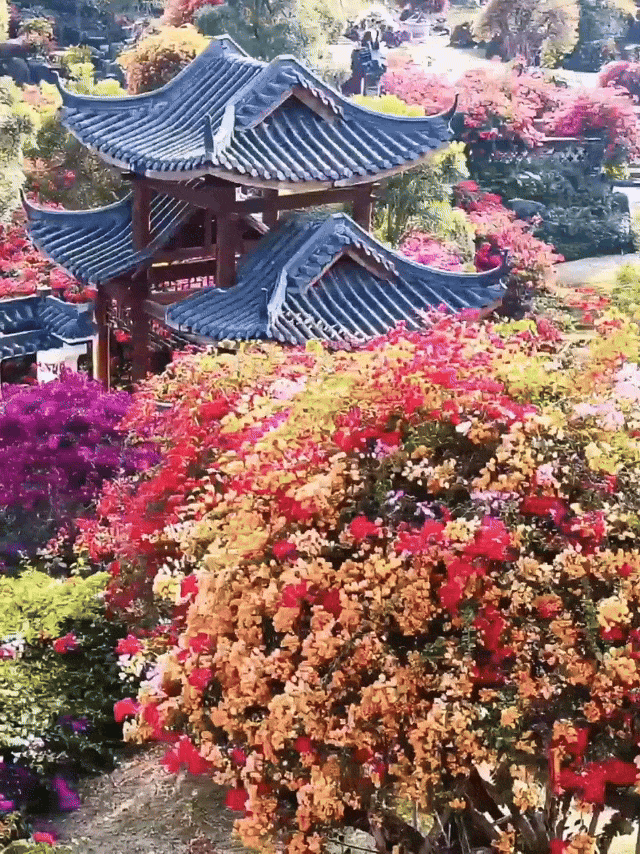 2月16日(2).gif