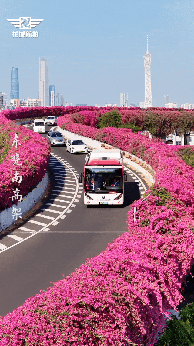 图/花城航拍