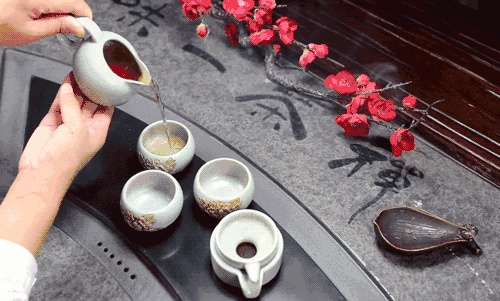 风里雨里，一杯黑茶等你