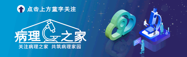 基因检测试剂盒是什么国内首款单核苷酸位点MSI检测试剂盒获批上市！阅微基因十年专注，打造MSI最佳解决方案！_https://www.jmylbn.com_新闻资讯_第1张