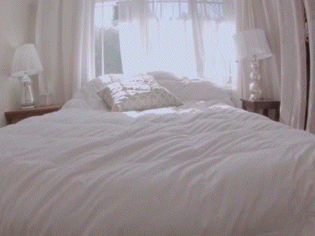 螨虫夹缝.gif