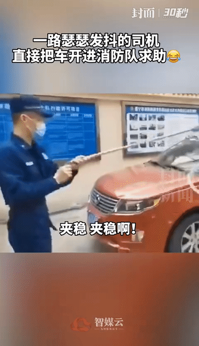 正开着车，挡风玻璃上惊现2米大蛇！太吓人了...（视频/图） - 2