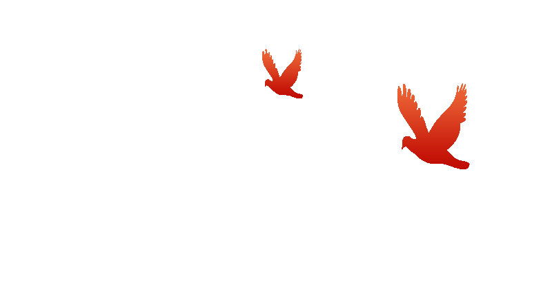 《全民国家安全教育日》学习简报