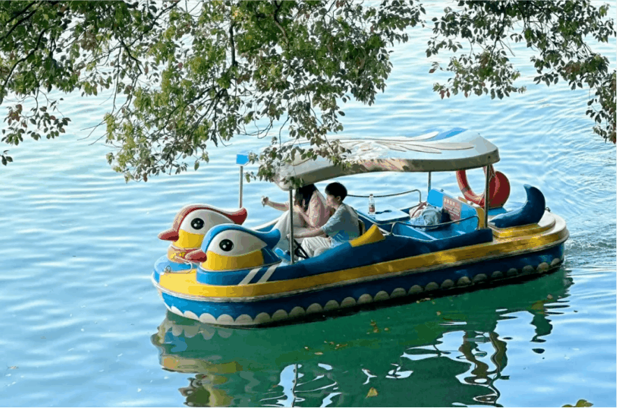 儿童乐园,彩虹滑道,水上乐园,雨仙湖垂钓,星空露营,野外烧烤,春耕插秧