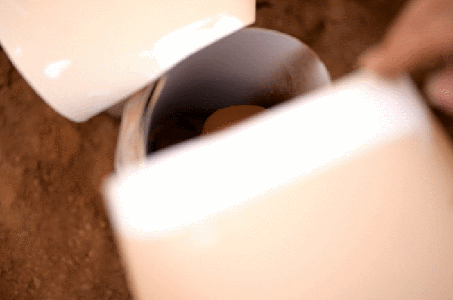 一味成方泰山灵芝：天时地利人和收粉季，收获品质与健康