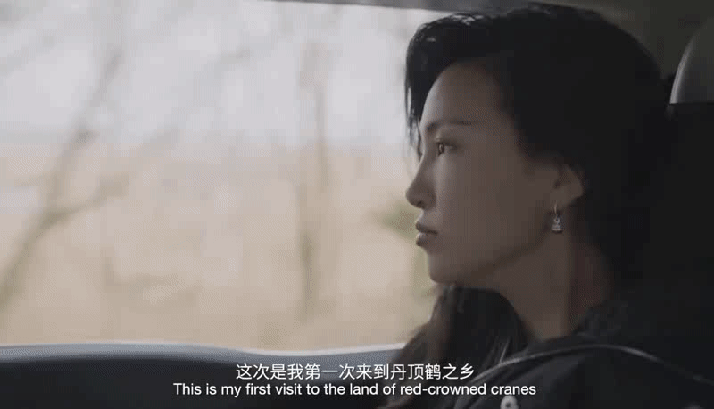 看了这个节目，才知道什么是“最美中国风”！