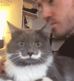 笑气有哪些牌子【禁毒知识】被夜店年轻人疯狂追捧的“笑气”到底是什么？_https://www.jmylbn.com_新闻资讯_第37张