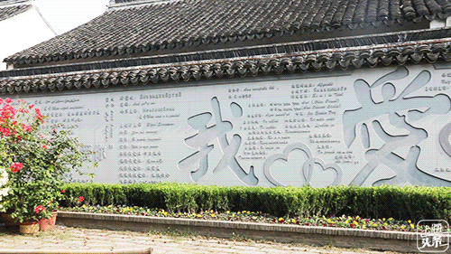 比朱家角歷史悠久，比南翔幽靜，上海這座1500多年的古鎮真的嗲色寧！ 旅行 第15張