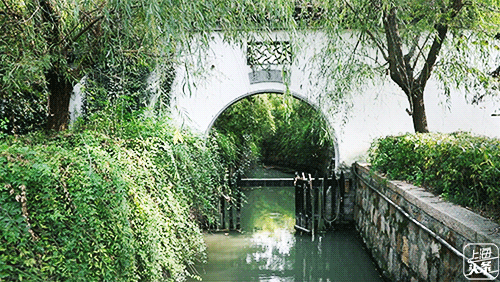 比朱家角歷史悠久，比南翔幽靜，上海這座1500多年的古鎮真的嗲色寧！ 旅行 第3張